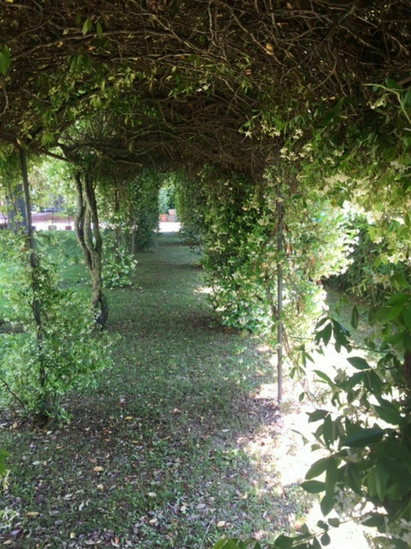 Relais Montemaggiore Bettolle Eksteriør bilde